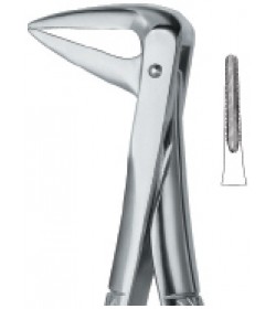 Roots, with Parallel beak 233