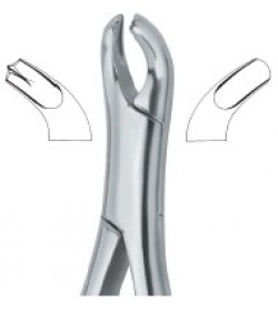 Harris Molars , Right 18R