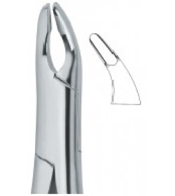 Cryer Bicuspids ,Incisors and Roots 150A