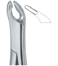 Cryer Bicuspids , Incisors and Roots 151A