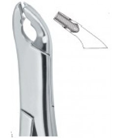 Cryer Bicuspids , Incisors and Roots 151X