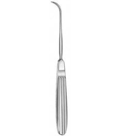 Steinhauser
